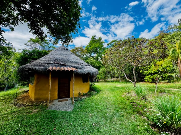 Life as Medicine Way